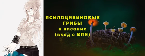 хмурый Киренск